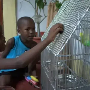 Kibibi - fotka 8